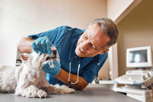 Best Emergency Treatment for Jaw Pain or Injury in Ravenel, SC